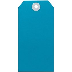 AVERY SHIPPING TAGS SIZE 5 120x60mm Blue Box of 1000