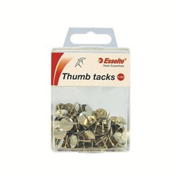 ESSELTE DRAWING PINS SILVER PK100