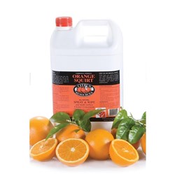 OATES RESEARCH CHCR-40015A ORANGE SQUIRT GECA CERTIFIED MULTIPURPOSE CLEANER 5L